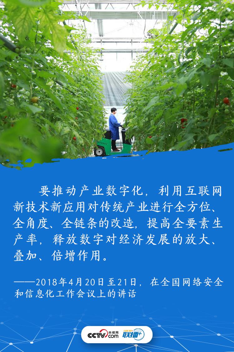 1602636867121632.jpg 333.jpg